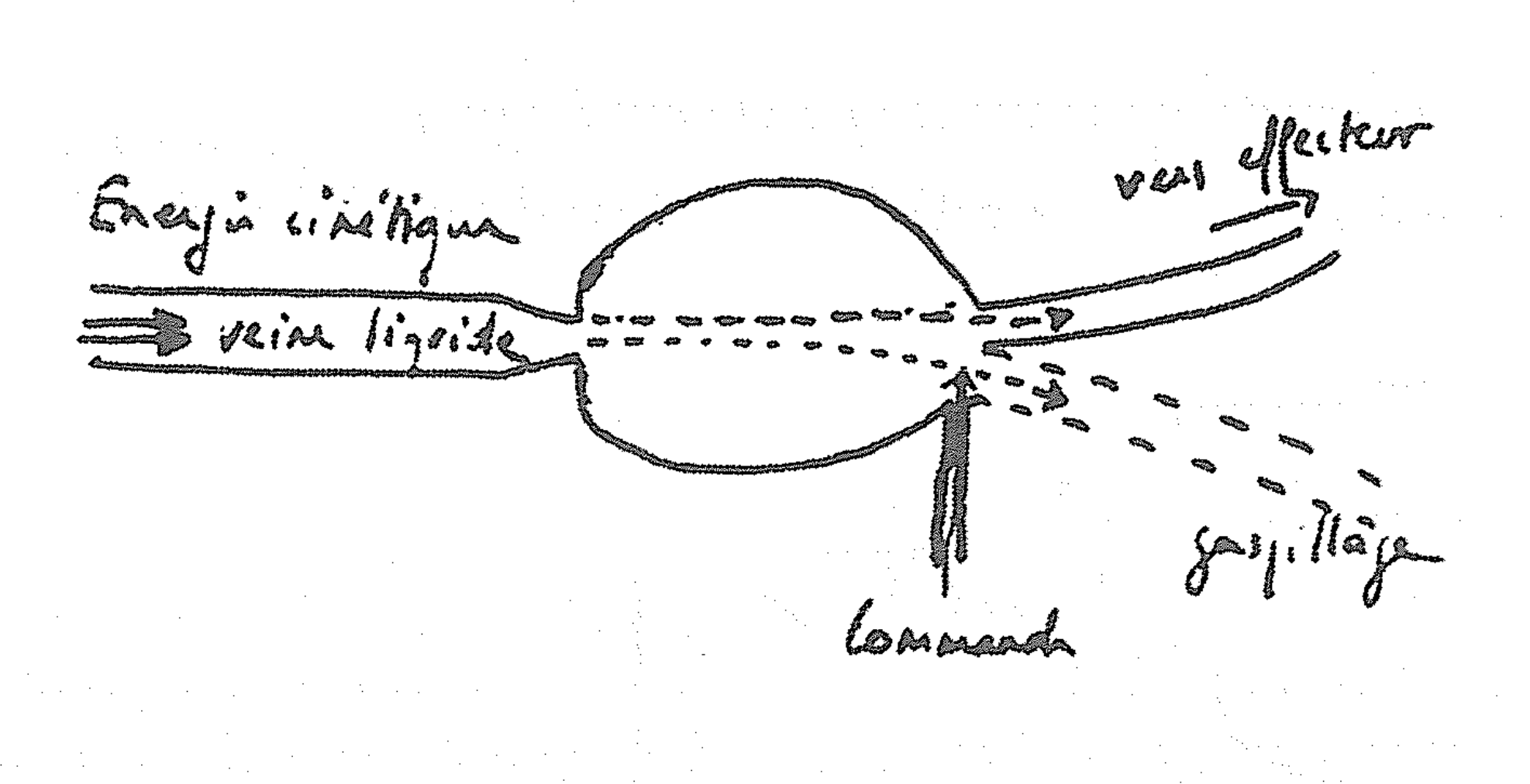 Homepage Image